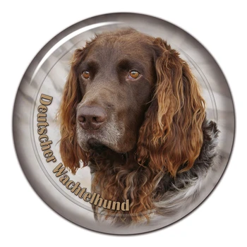 Kendinden Yapışkanlı Çıkartma Deutscher Wachtelhund Köpek Araba Sticker Dekorları Tampon Arka Cam Dizüstü 13CM/17CM